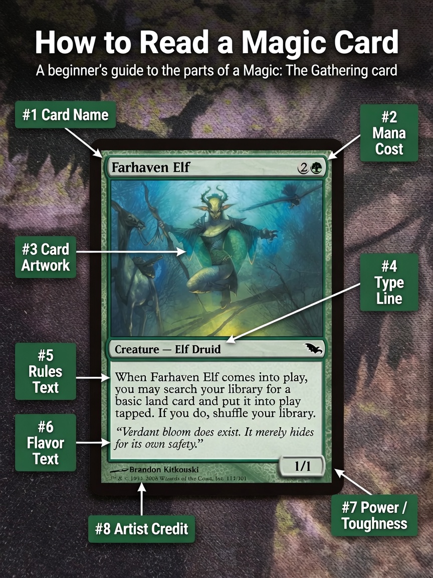 Educational infographic showing how to read a Magic: The Gathering card using Farhaven Elf as an example. Clear labels point to the card name, mana cost, artwork, type line, rules text, flavor text, power and toughness, and artist credit with explanations.